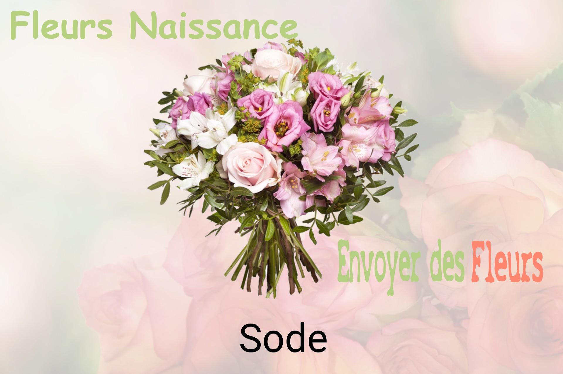 Bouquet de fleurs de naissance livré à Sode